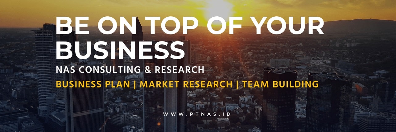 nas consulting research